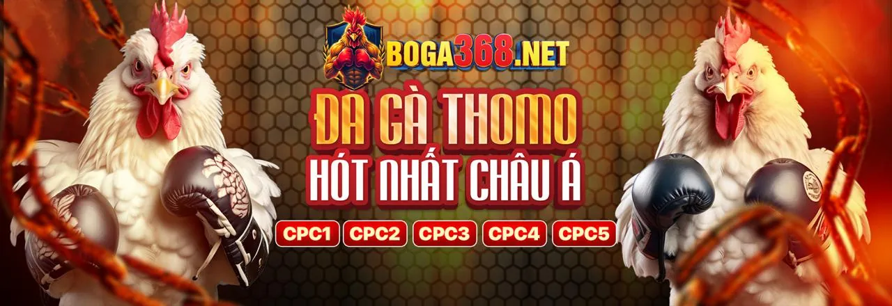Hình ảnh chính của bài viết blog về chiến thuật chơi game bài tại 4466club